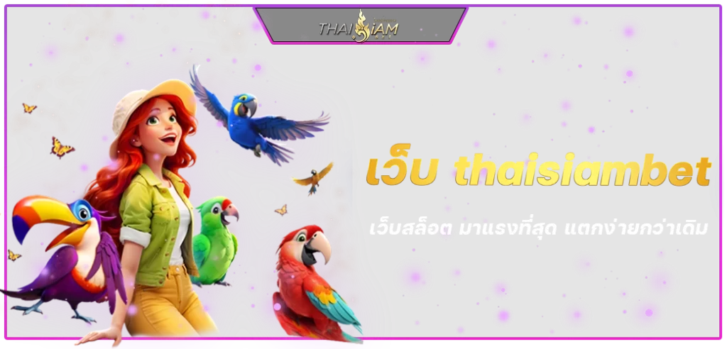 content seo เว็บ thaisiambet 1